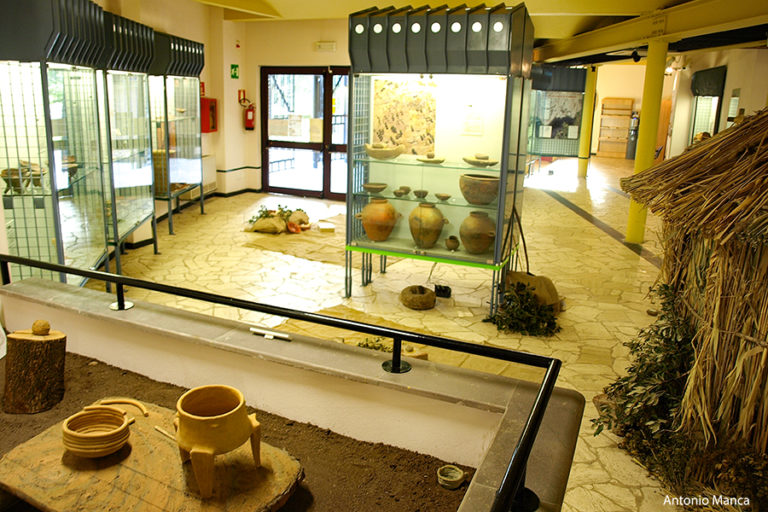 Museo Archeologico Villa Sulcis