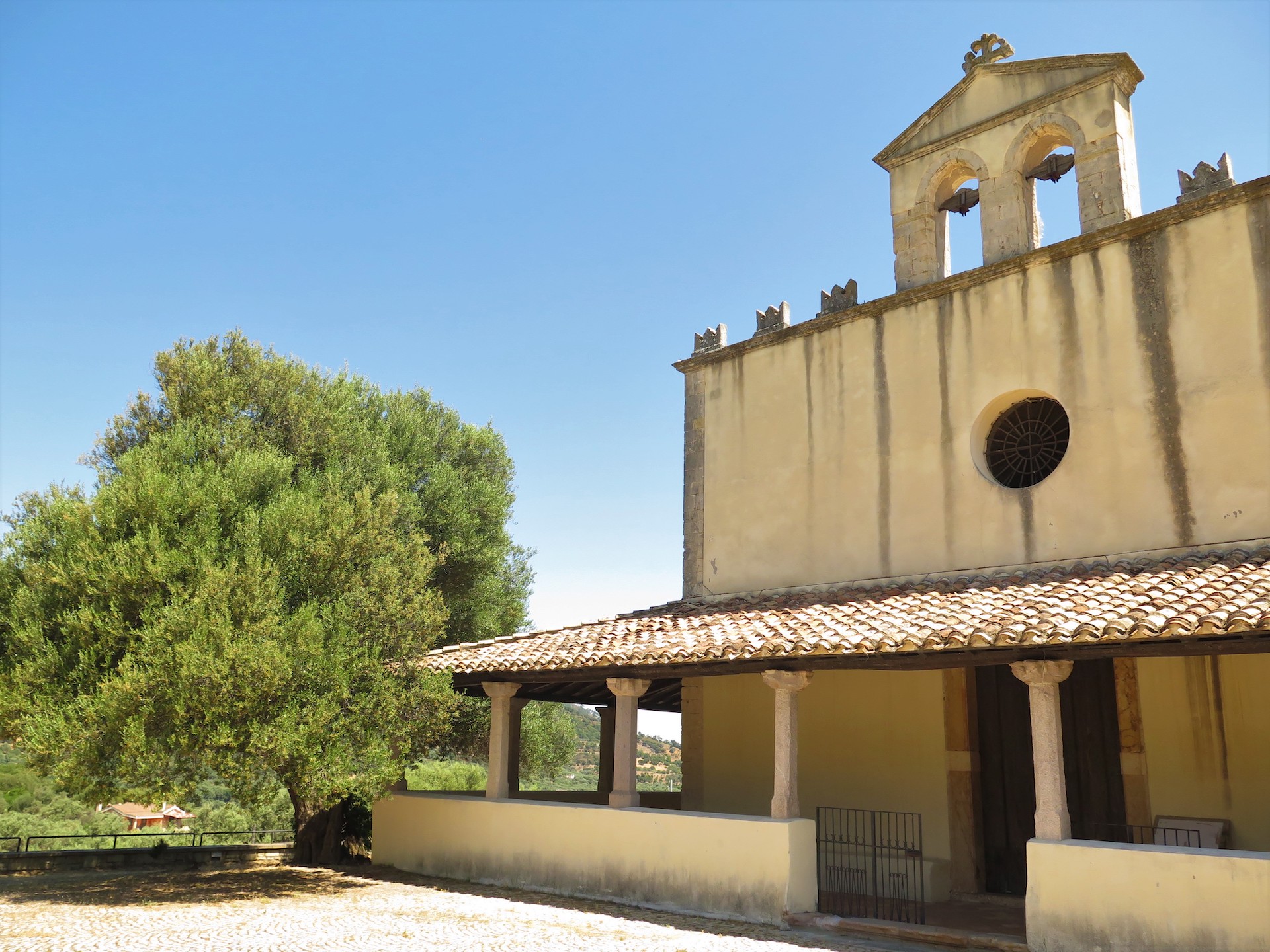 Dialoghi e danza all’ombra degli ulivi di San Sisinnio - immagine 4