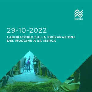 Preparazione e assaggio del muggine a Sa Merca