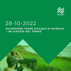 Escursione Terre d'acque di Nurachi - un viaggio nel tempo