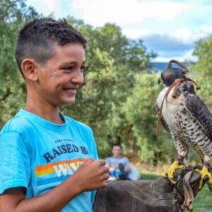 In volo con il falco