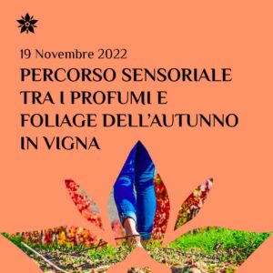 Percorso sensoriale tra i profumi e foliage dell'autunno in vigna