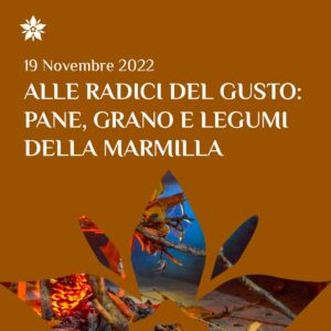 Alle radici del gusto: pane, grano e legumi della Marmilla