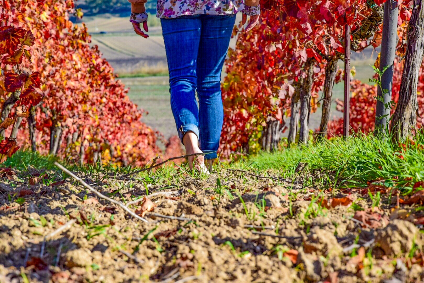 Radici e Sapori di Autunno | Weekend in Sardegna - immagine 6