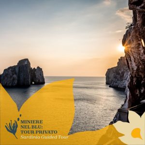 Miniere nel blu: Tour privato della costa delle miniere