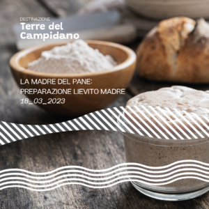 La madre del pane: preparazione lievito madre