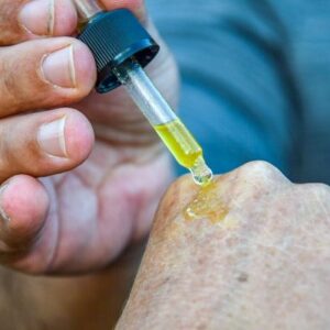 passeggiata alla scoperta delle erbe spontanee