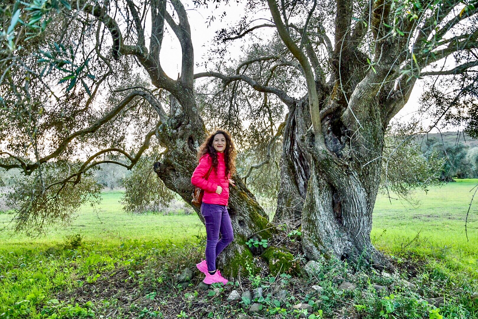 Dialoghi di Botanica: gli Alberi Monumentali - immagine 4