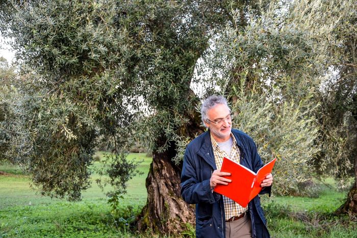 Dialoghi di Botanica: gli Alberi Monumentali - immagine 2