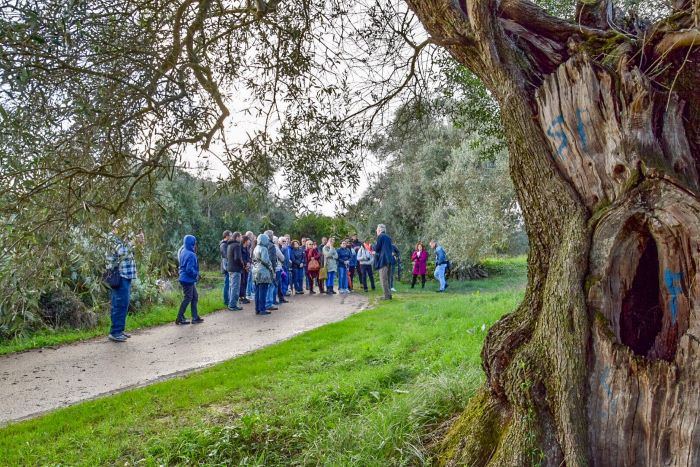 Dialoghi di Botanica: gli Alberi Monumentali - immagine 3
