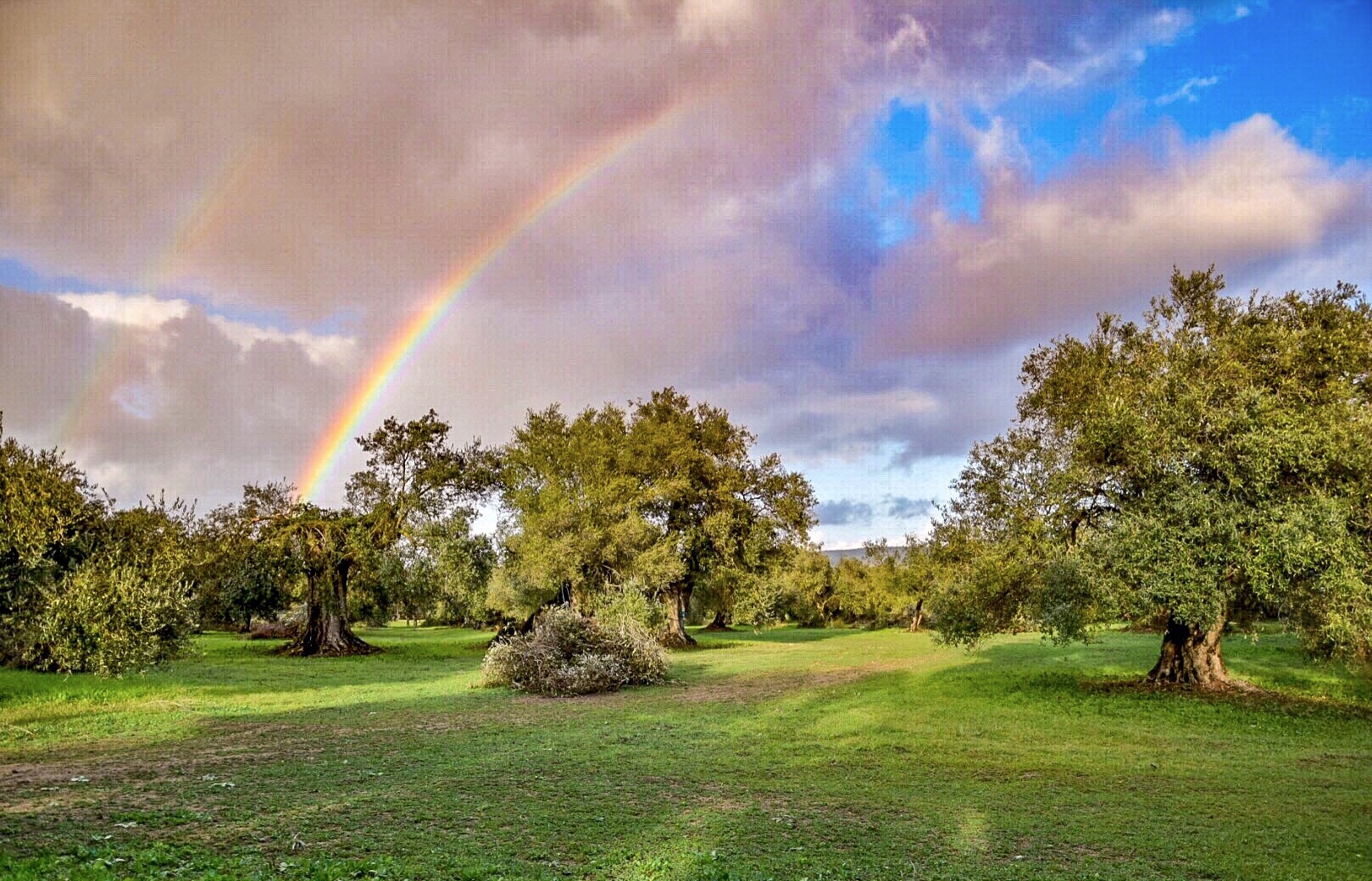 L'Altra Sardegna