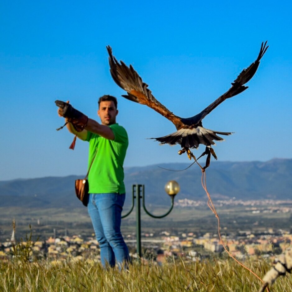 Falconiere per un giorno