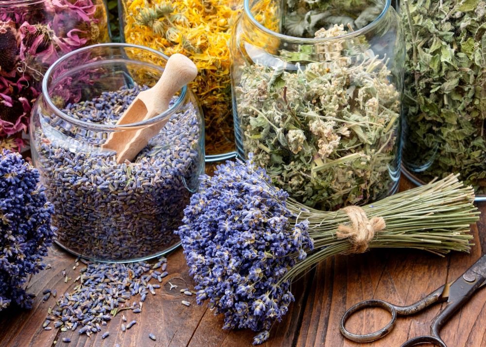 Dalla natura all'essenza
