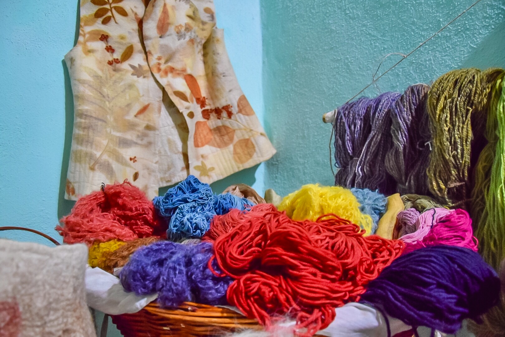 l'Arte di tingere con le piante
