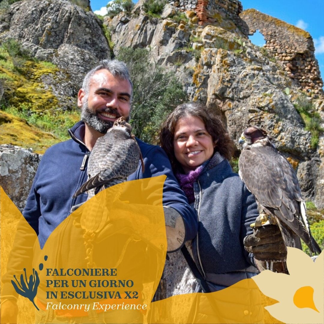 Falconiere per un giorno in Sardegna: incontro esclusivo per 2 persone! - immagine 3