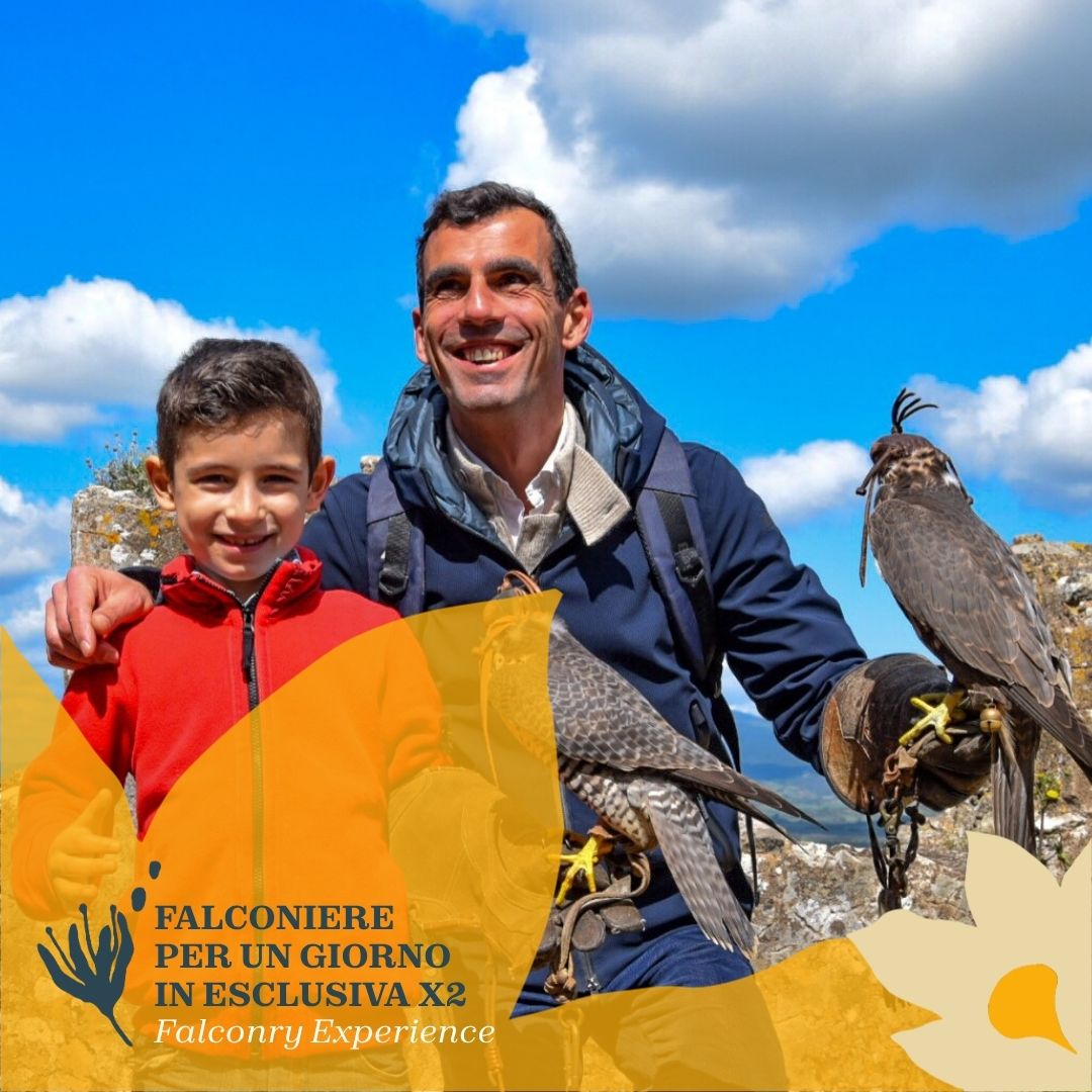 Falconiere per un giorno in Sardegna: incontro esclusivo per 2 persone! - immagine 2