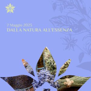 Dalla natura all'essenza