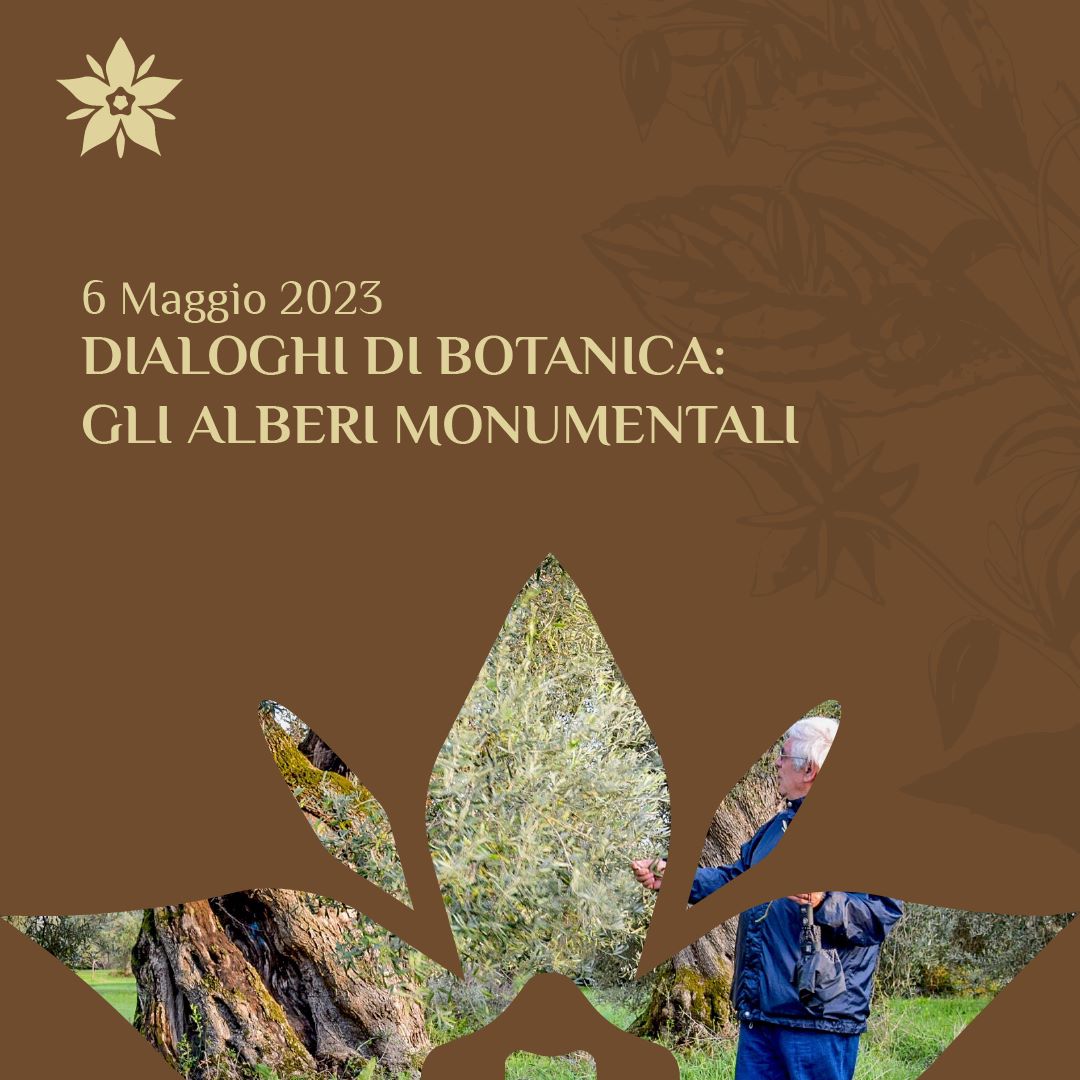Dialoghi di Botanica: gli Alberi Monumentali