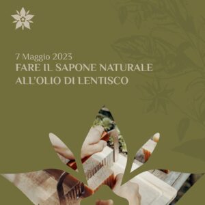 Fare il sapone naturale all'olio di lentisco
