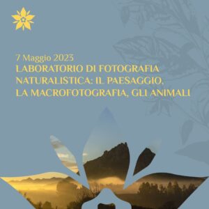 Laboratorio di fotografia naturalistica