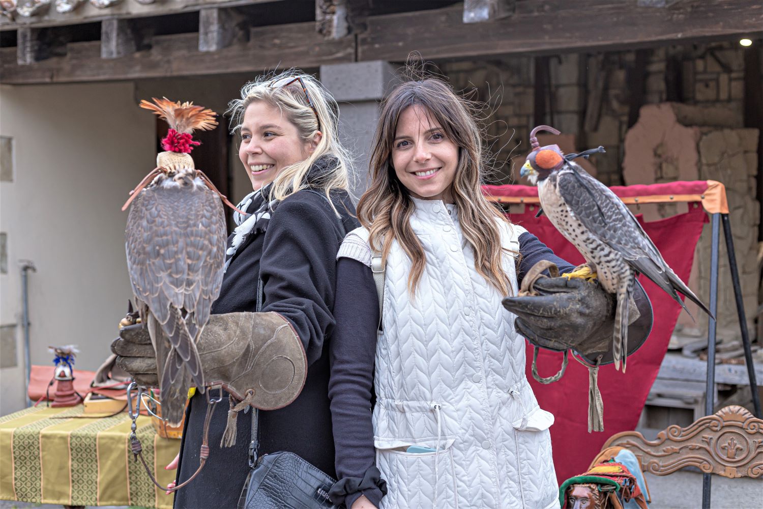 Falconiere per un giorno