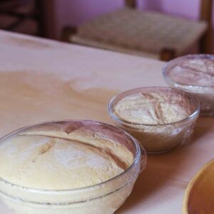 preparazione lievito madre