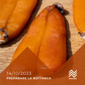 Laboratorio sulla preparazione della bottarga di muggine