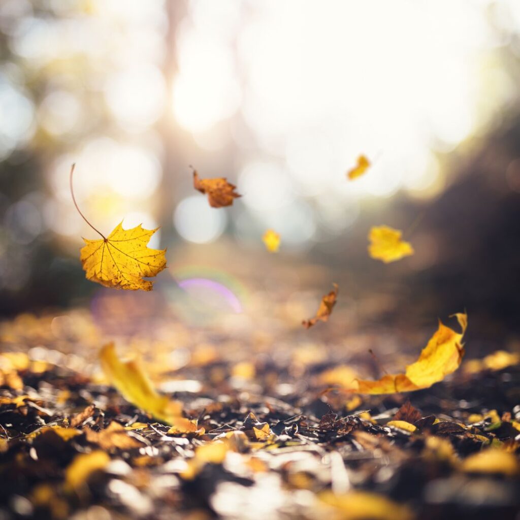 la notte delle anime