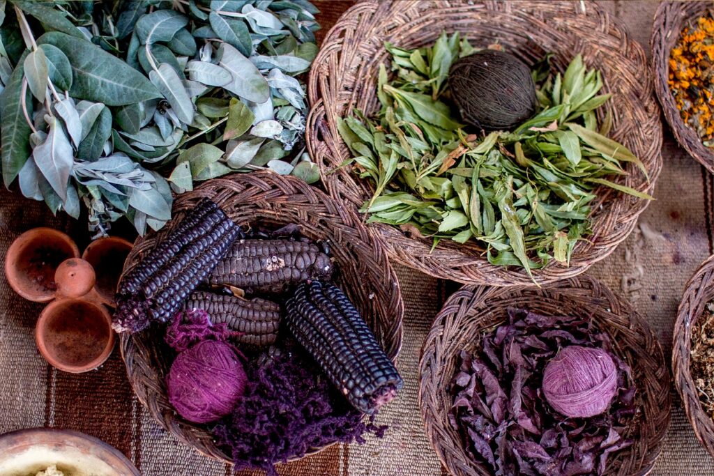 L'ARTE DI TINGERE CON LE PIANTE