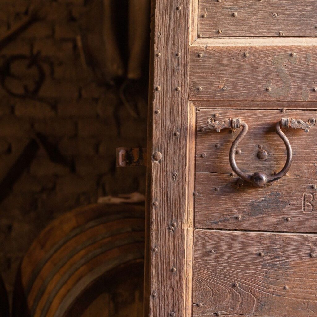 Vernaccia & Terroir