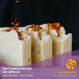 Fare il sapone naturale allo zafferano
