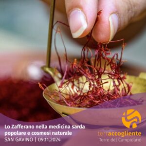 Lo Zafferano nella medicina sarda popolare e cosmesi naturale