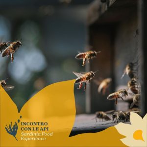 Incontro con le api e laboratorio del gusto