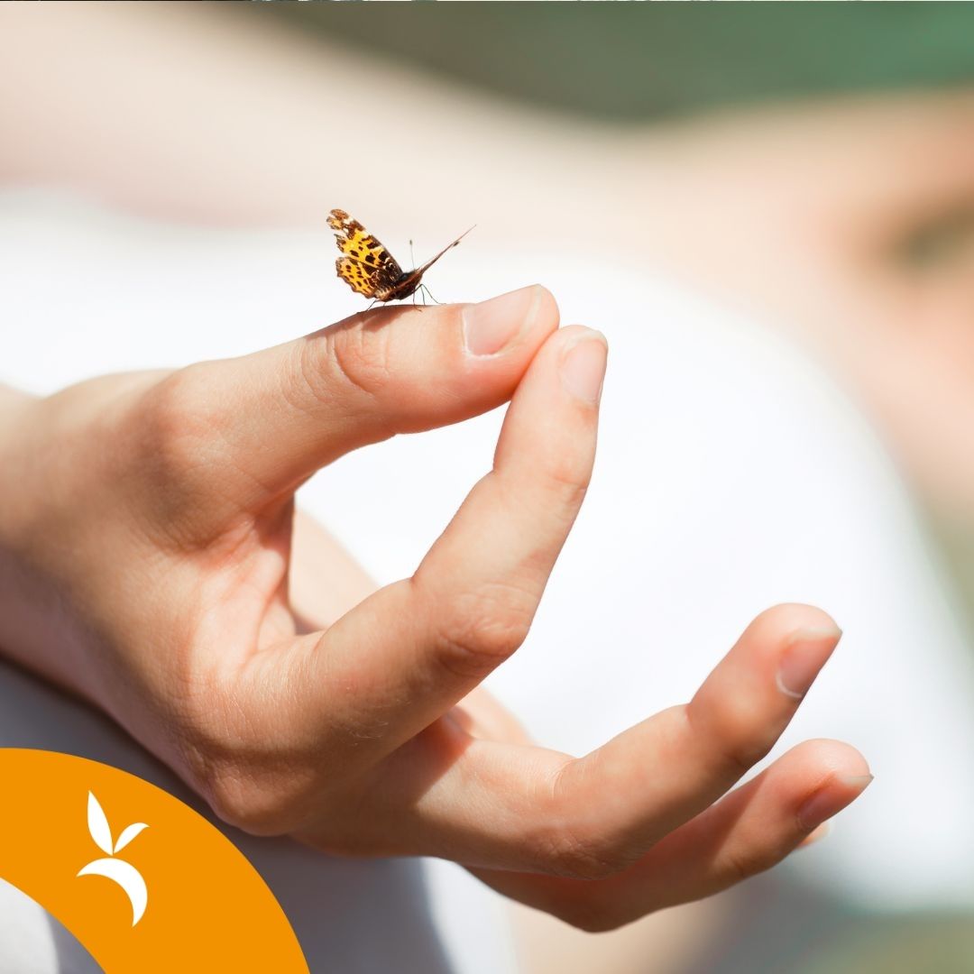 Benessere in natura con lo yoga e le erbe