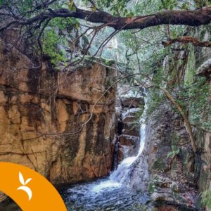 La via dell'acqua in Sardegna tra boschi, salti e cascate di Villacidro