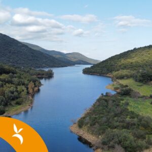 Escursione in SUP con aperitivo a pelo d'acqua sul lago di Leni