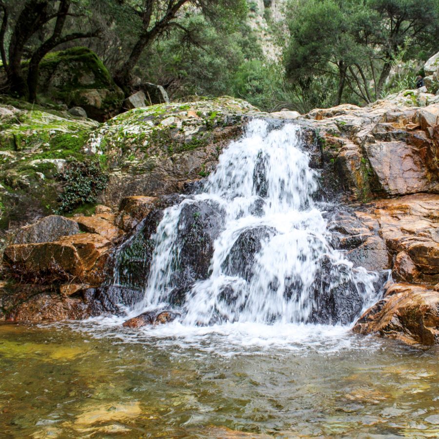 La via dell'acqua in Sardegna tra boschi, salti e cascate di Villacidro