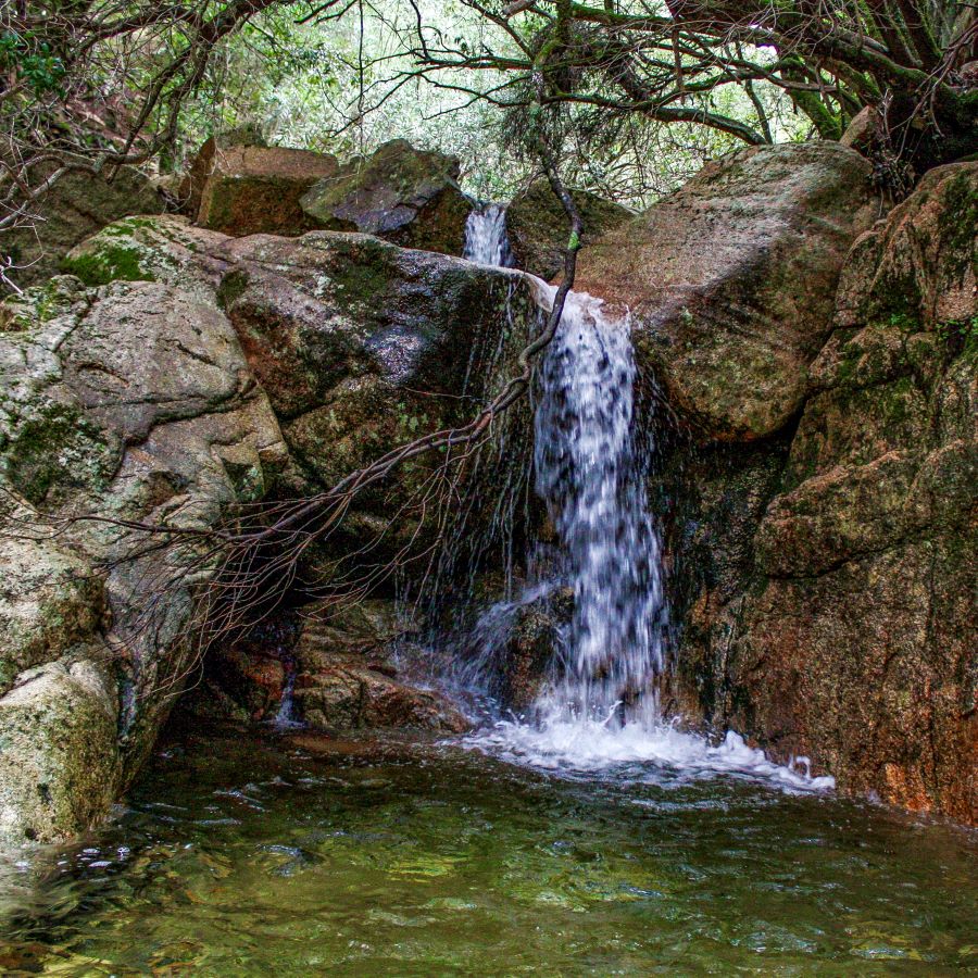 La via dell'acqua in Sardegna tra boschi, salti e cascate di Villacidro