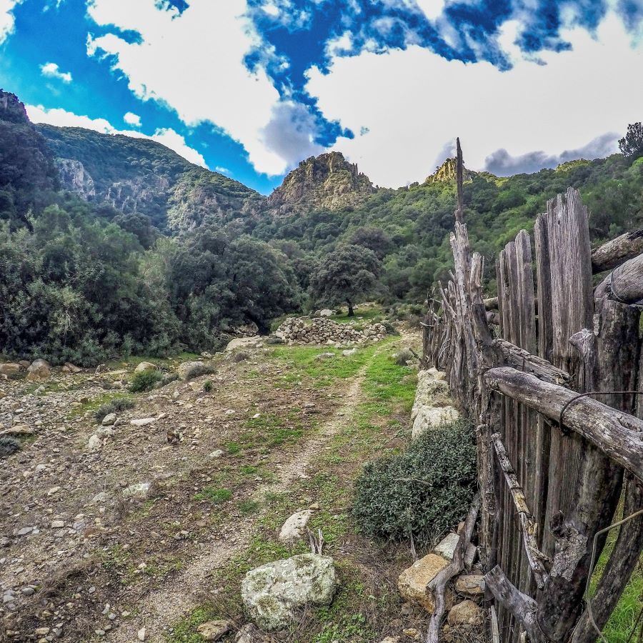La via dell'acqua in Sardegna tra boschi, salti e cascate di Villacidro
