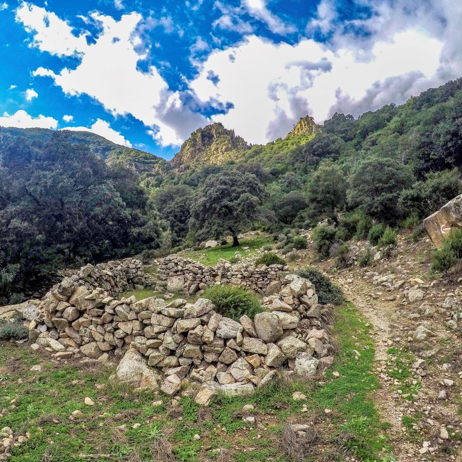 La via dell'acqua in Sardegna tra boschi, salti e cascate di Villacidro