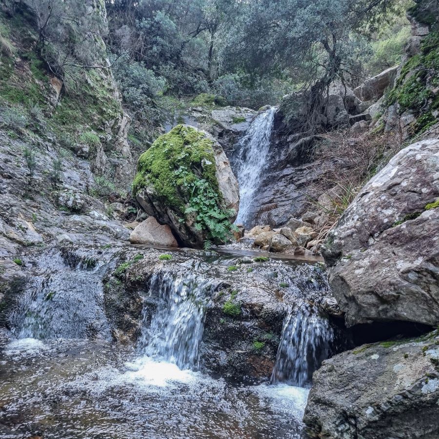 La via dell'acqua in Sardegna tra boschi, salti e cascate di Villacidro