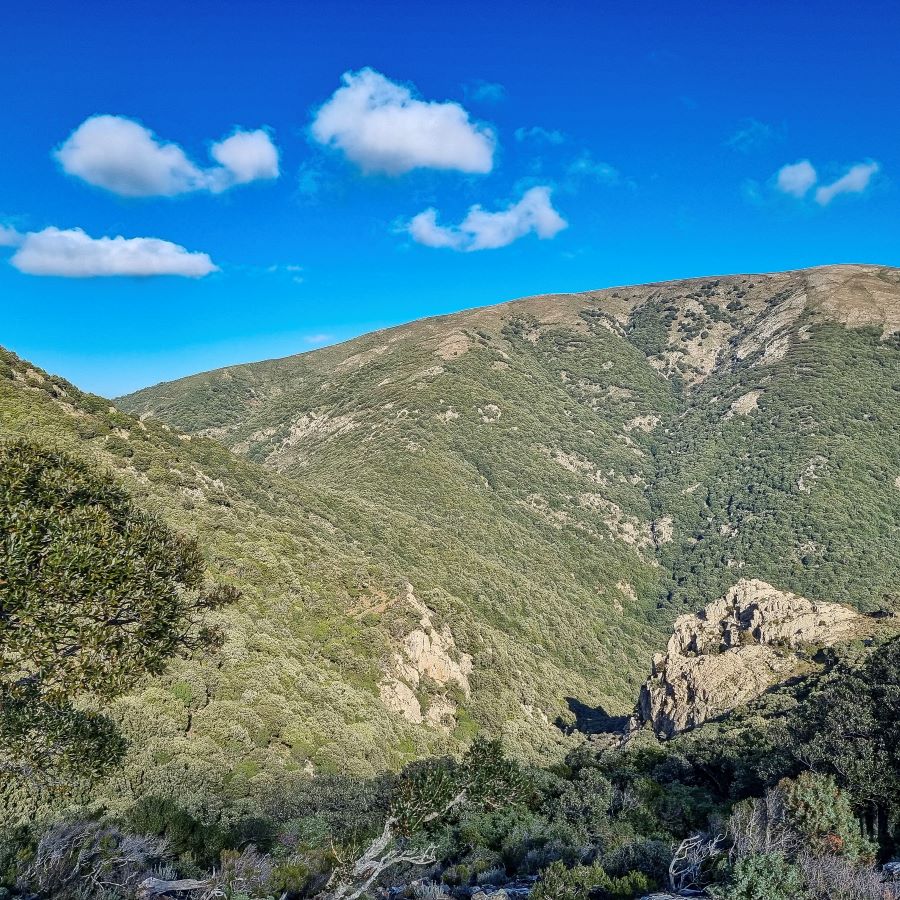 La via dell'acqua in Sardegna tra boschi, salti e cascate di Villacidro