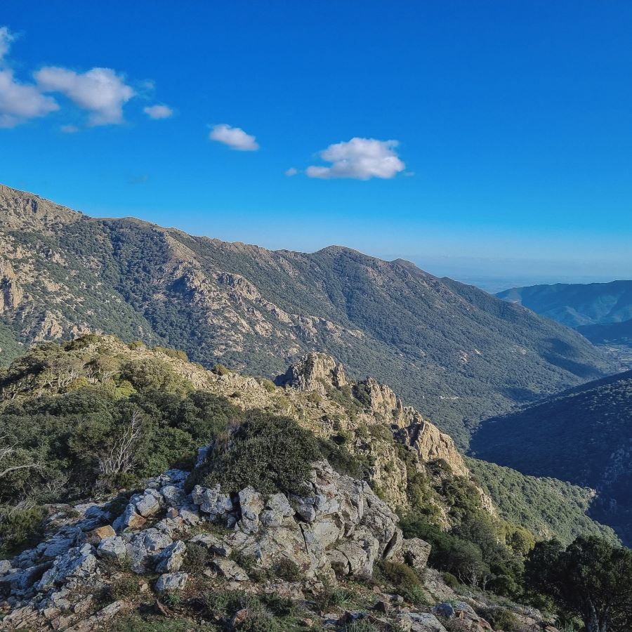 La via dell'acqua in Sardegna tra boschi, salti e cascate di Villacidro