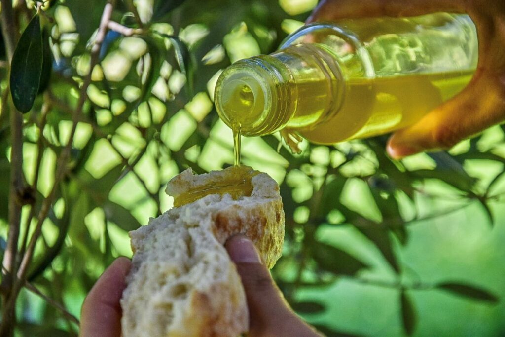 Villacidro: il respiro della terra