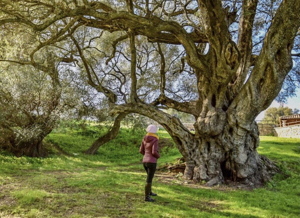 Parco di San Sisinnio