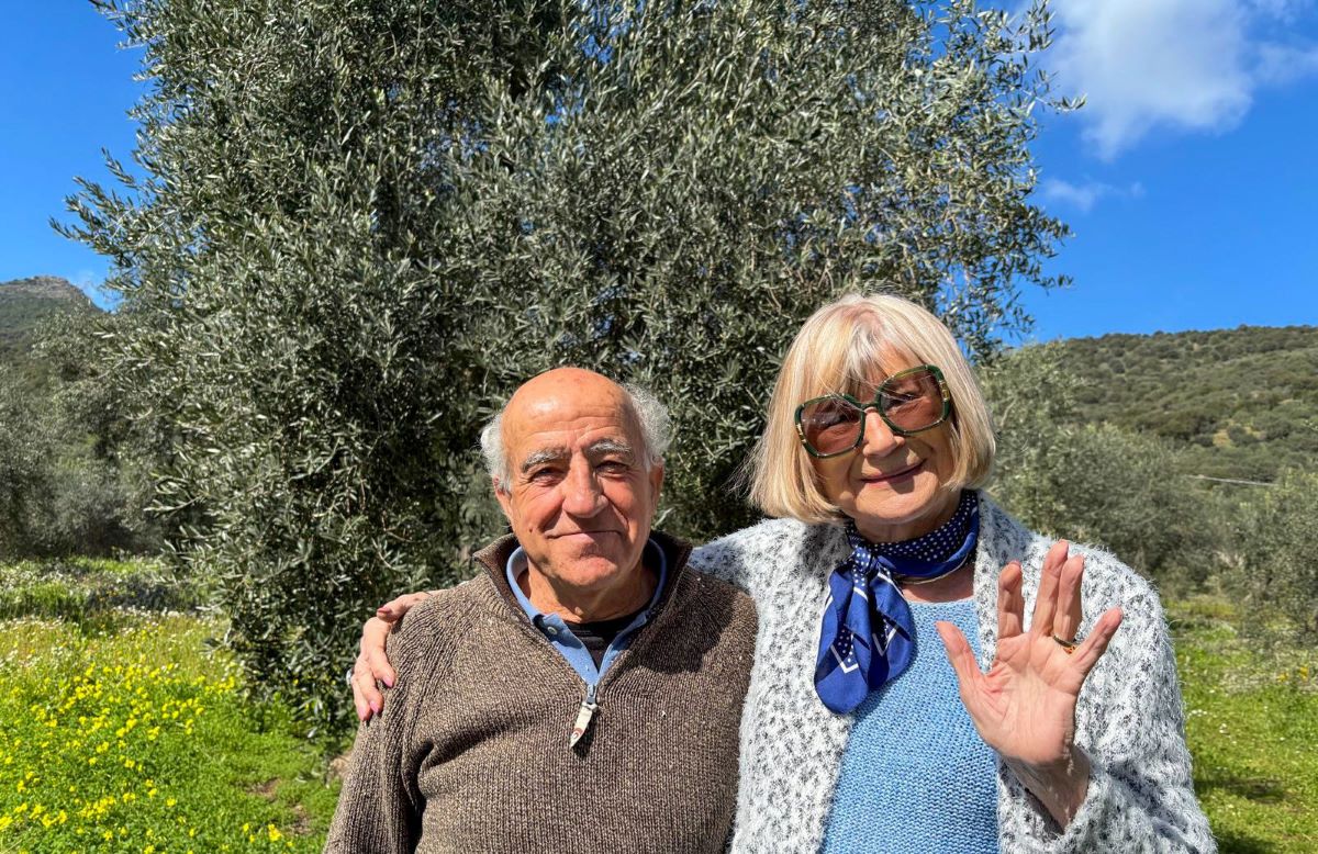 Picnic tra gli ulivi secolari di Villacidro