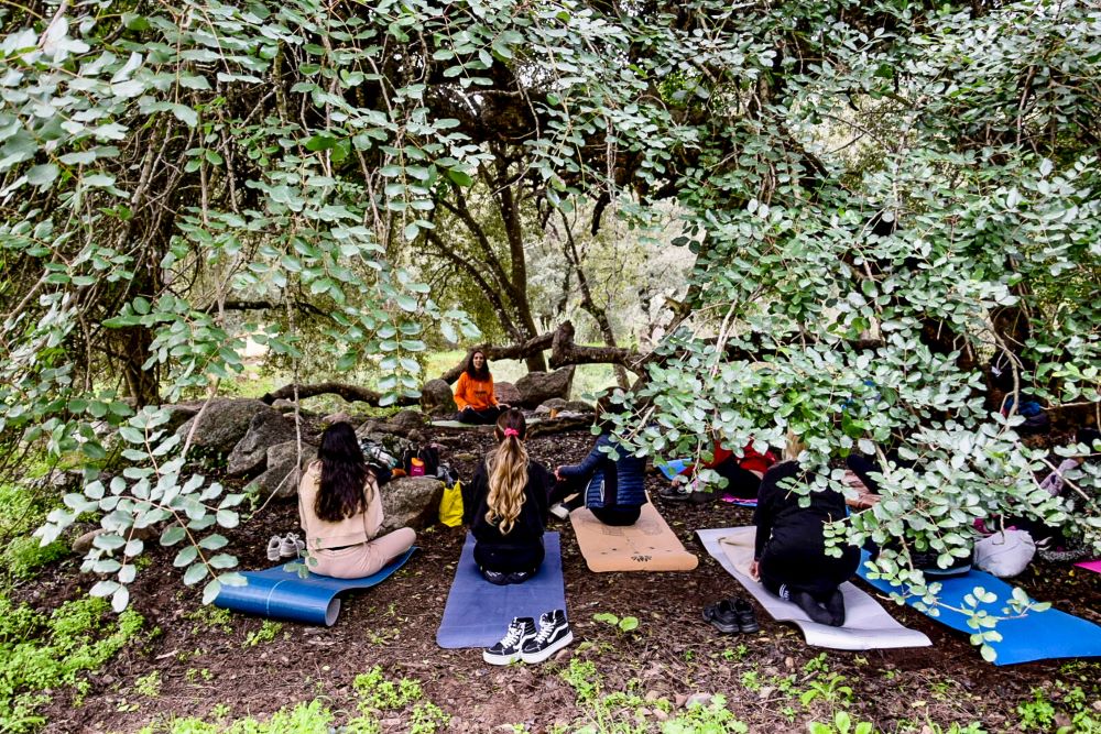 Benessere in natura con lo yoga e le erbe