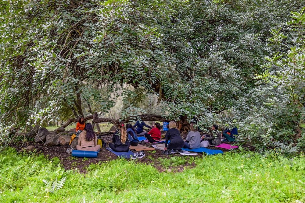 Benessere in natura con lo yoga e le erbe