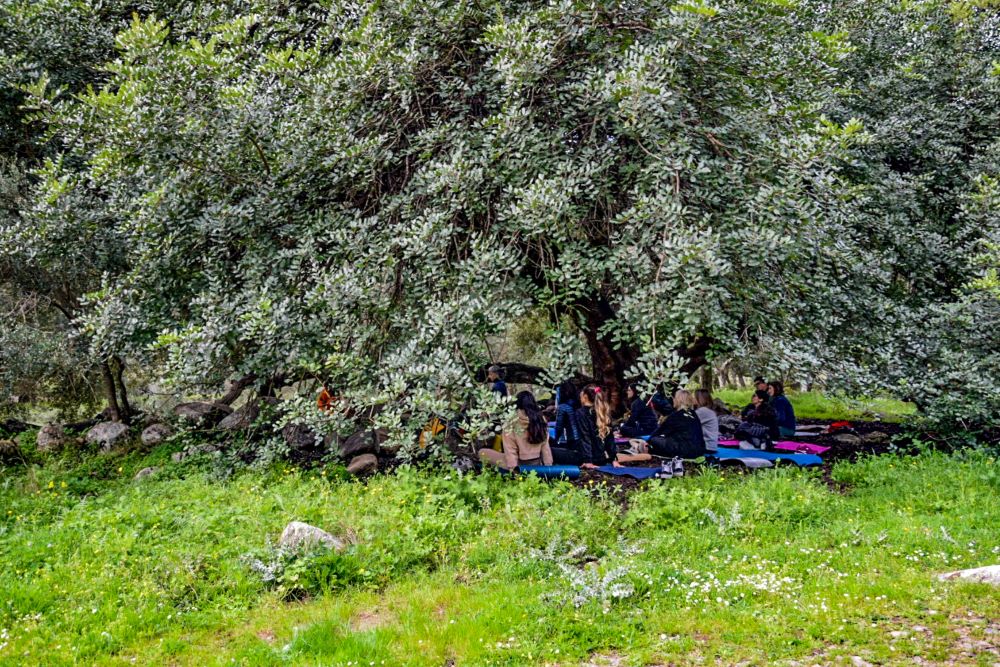 Benessere in natura con lo yoga e le erbe