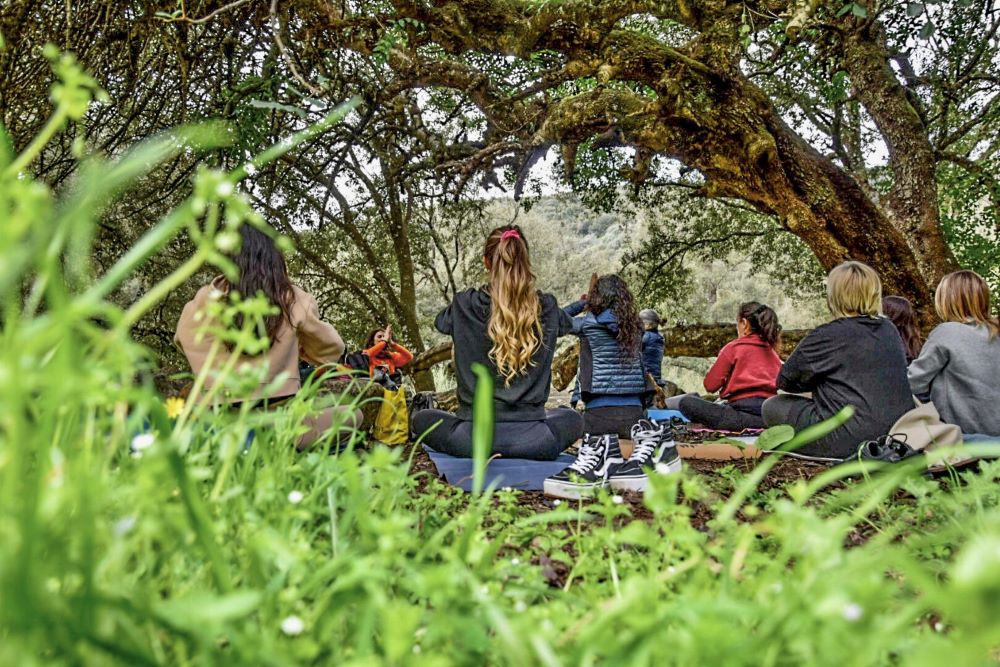 Benessere in natura con lo yoga e le erbe